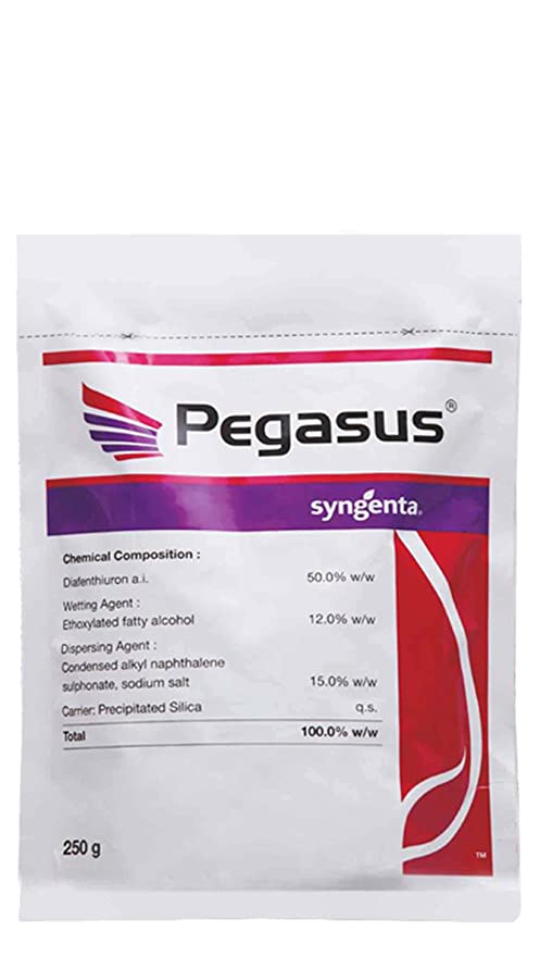 Picture of Pegasus